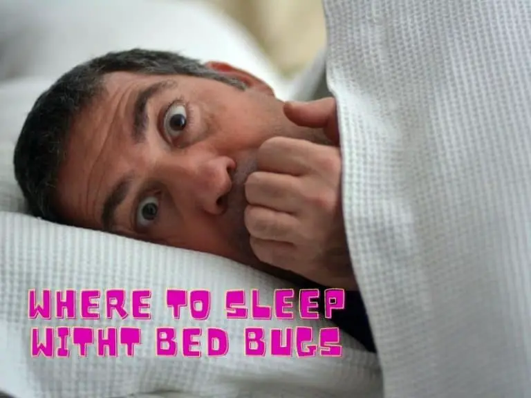 Where to Sleep If You Have Bed Bugs: Complete Guide