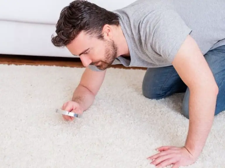 How to Get Rid of Carpet Mites In 2021