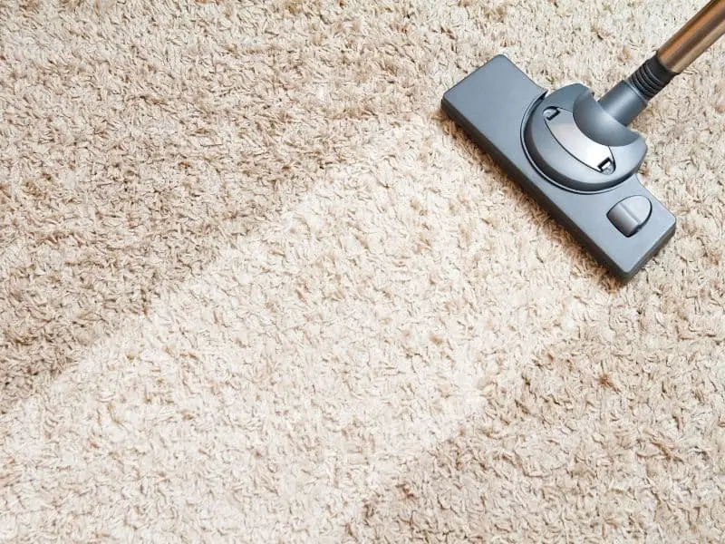 vacuum carpet