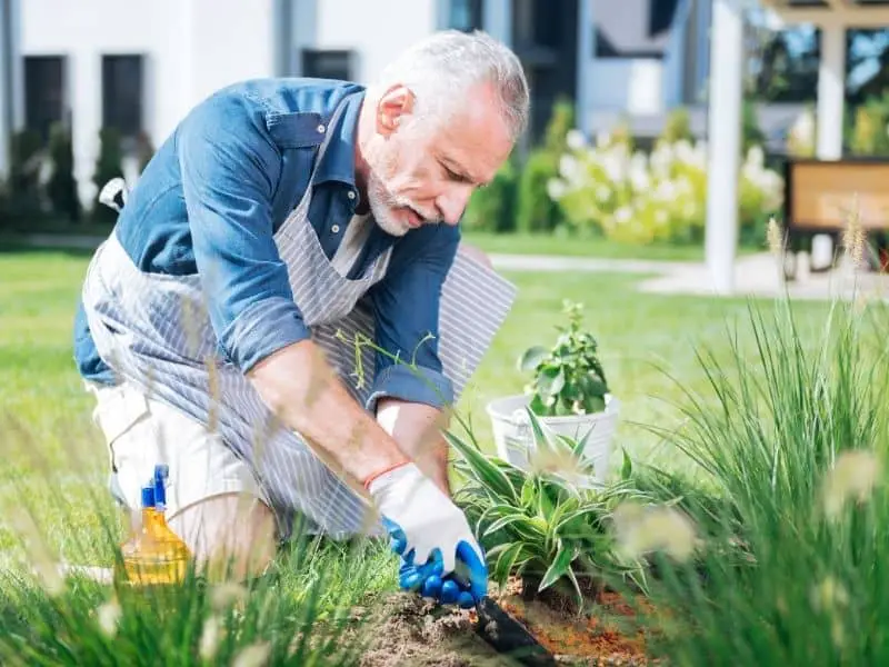 image of person in garden