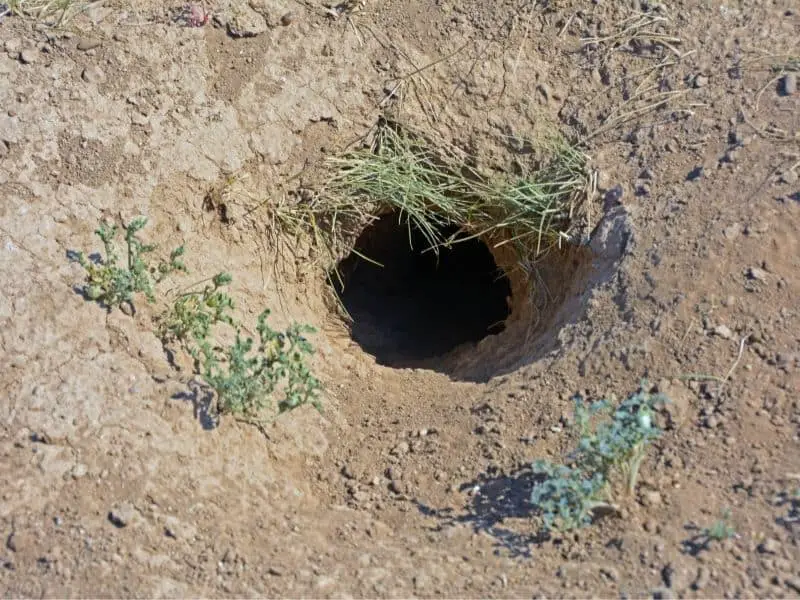 hole in ground