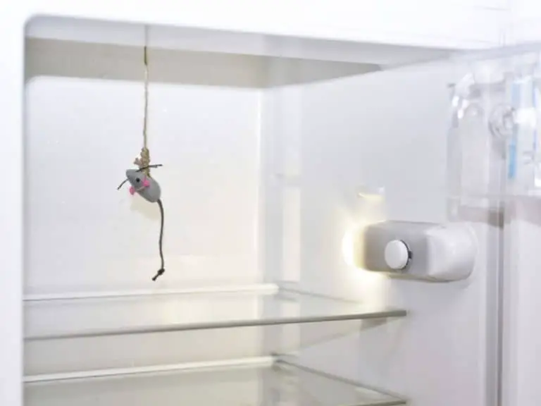 How to Keep Mice Out From Under the Fridge