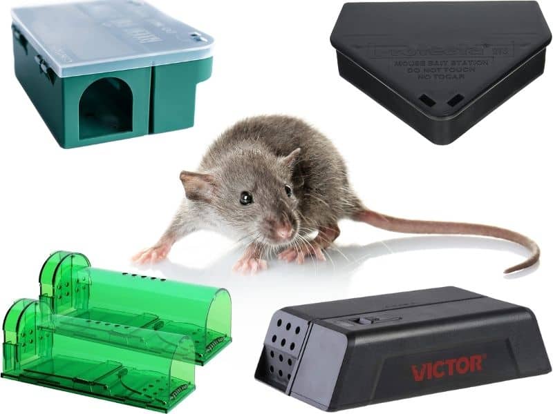 mouse traps