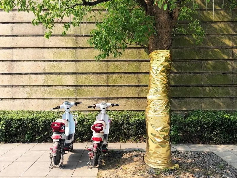 tree wrapped in foil