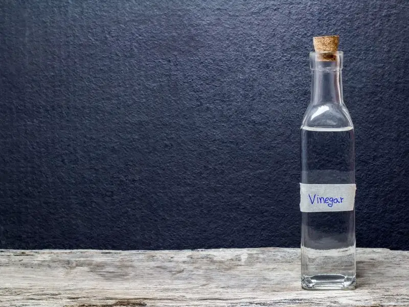 image of vinegar